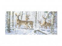 Схема «Олені» (30x70)