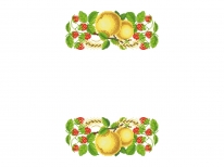 Рушник на Спаса Р503