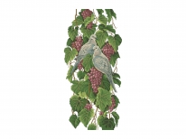 Схема «Горлиці на винограді» (30x70)